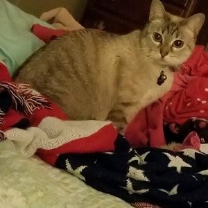 Meet your Posher, Angela